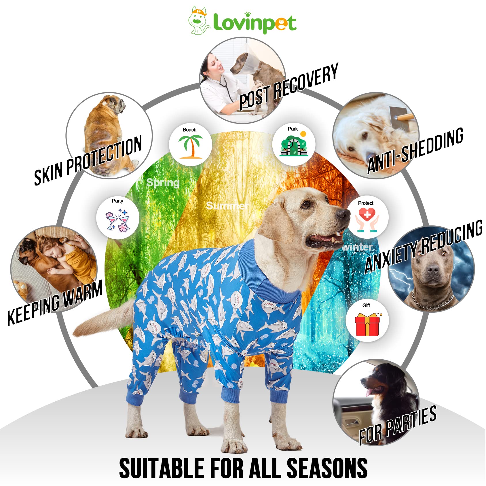 LovinPet evita lamidas de heridas con diseño protector postoperatorio.