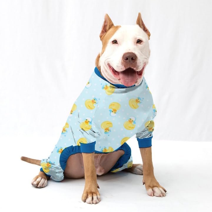LovinPet Lavado sencillo y mantenimiento fácil para uso diario.