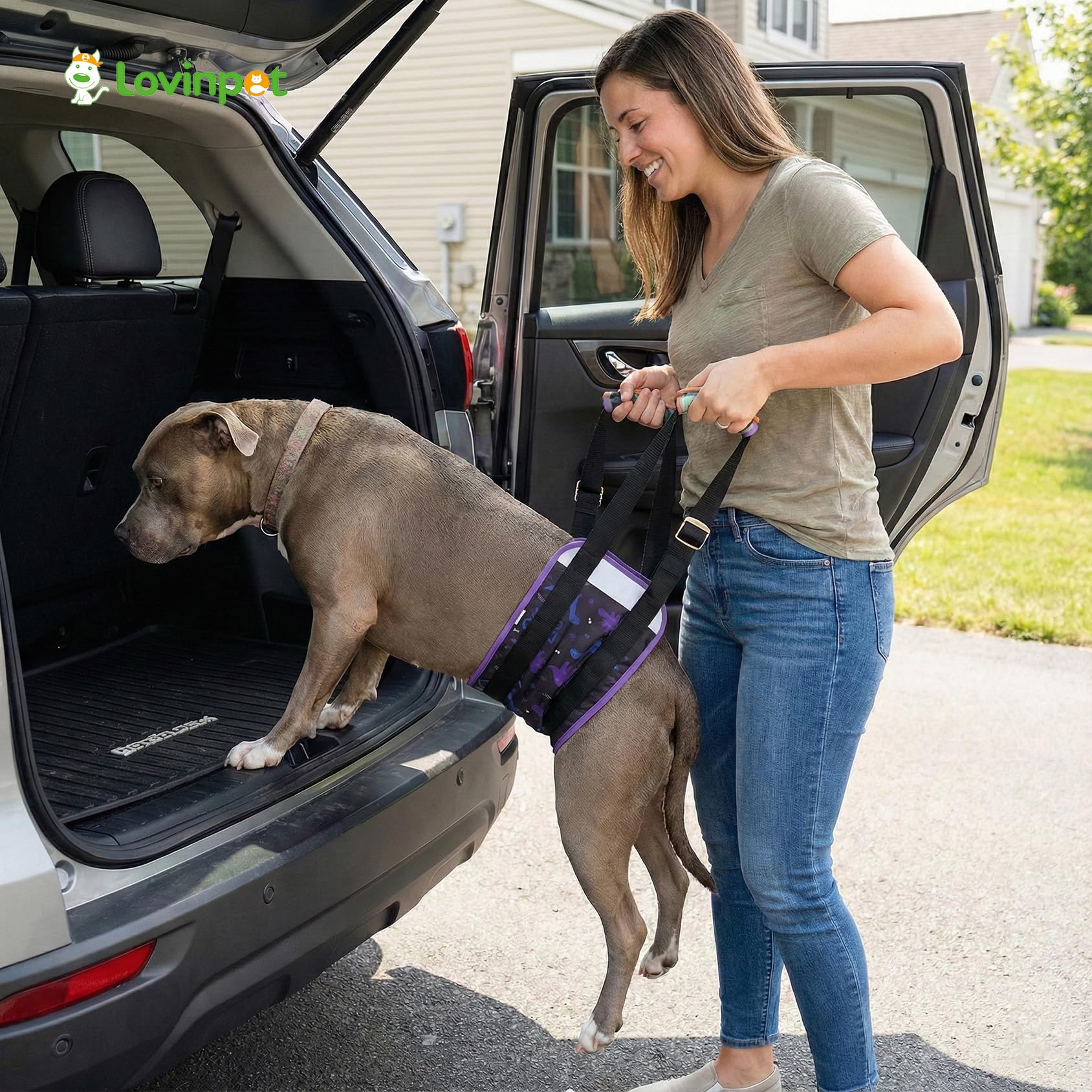 LovinPet arnés con herrajes metálicos resistentes para uso diario seguro.