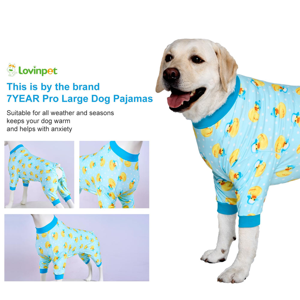 LovinPet Historia de comprador cálido y cómodo para perros mayores.