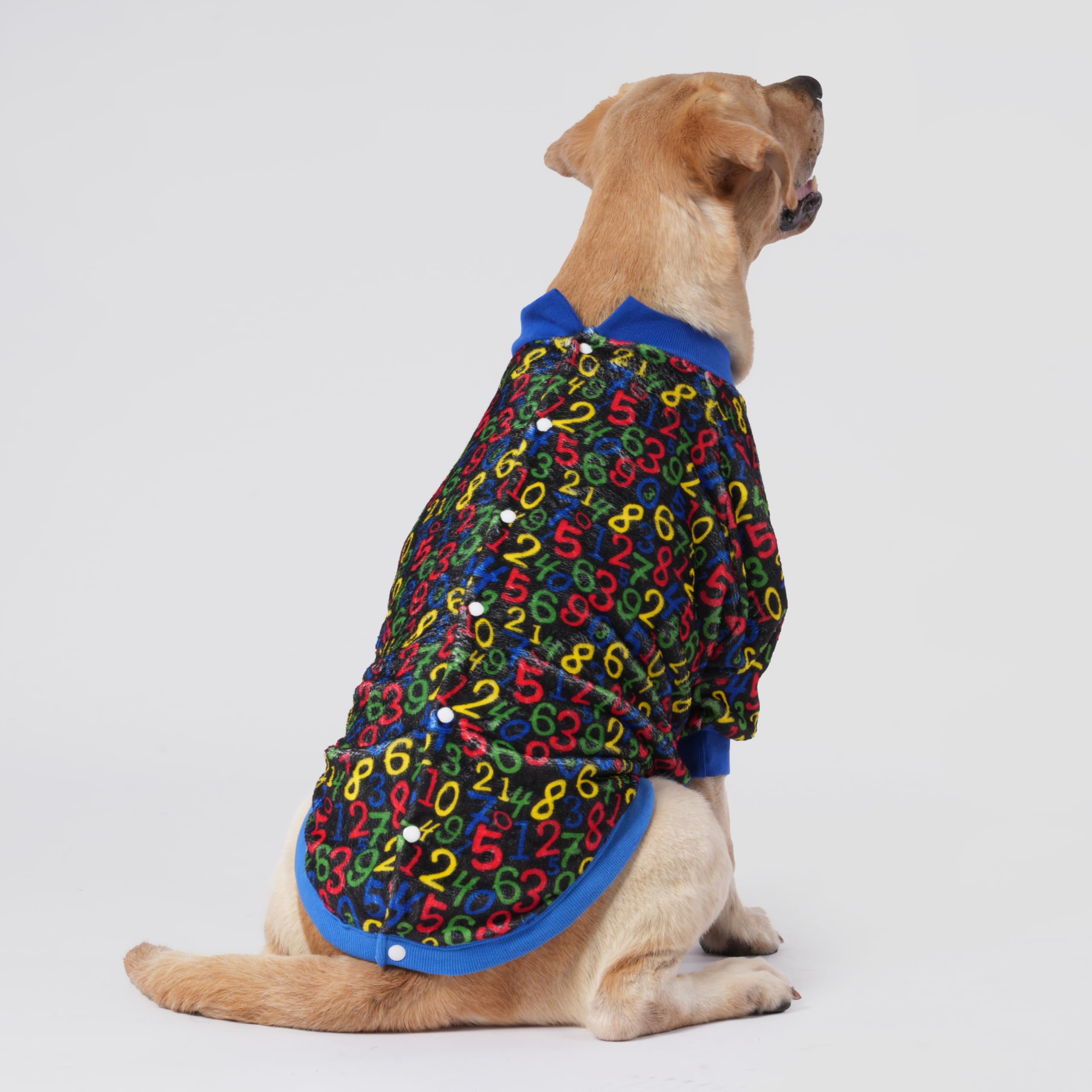 LovinPet uso versátil para casa y paseos cortos