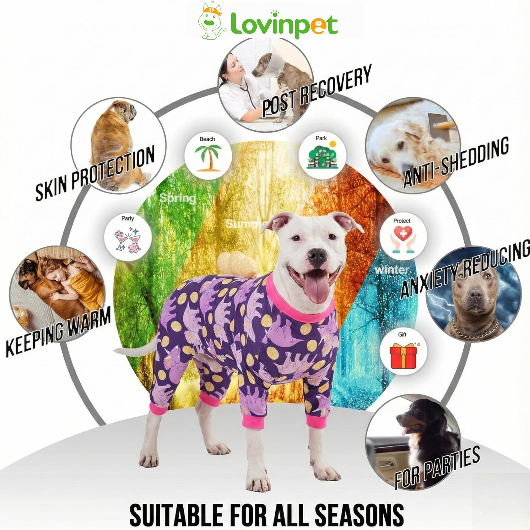 LovinPet estampado alas, estilo lúdico y cómodo.
