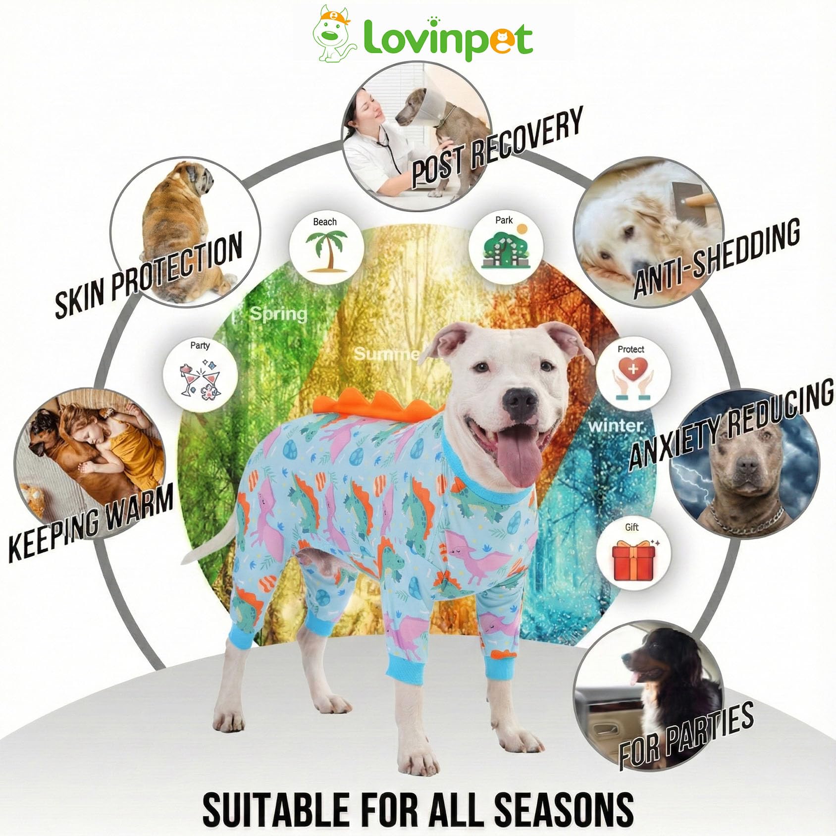 LovinPet: lavado a máquina y secadora suave para uso diario.