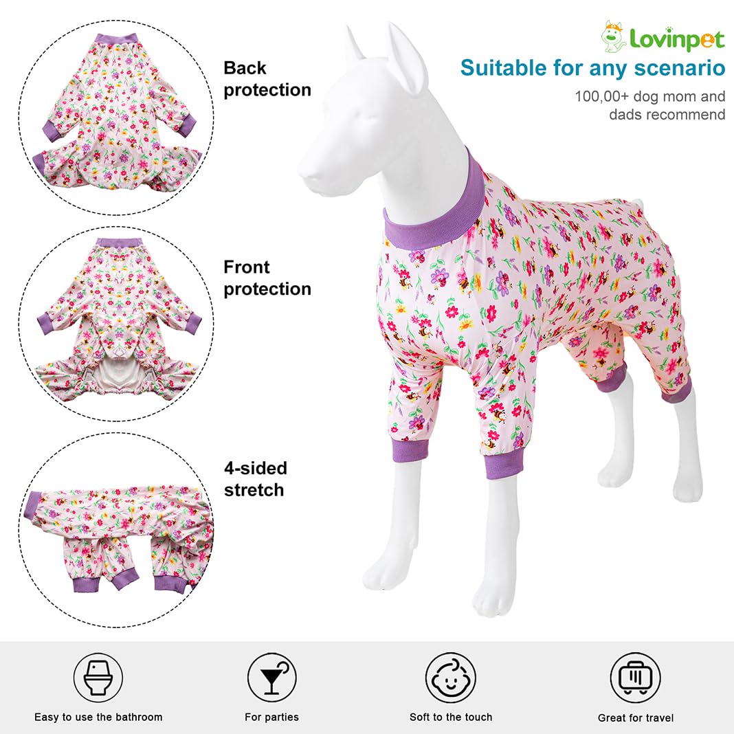 LovinPet pijama en interior, cómodo y fotogénico para sesiones en casa.