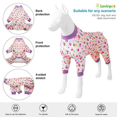 LovinPet pijama en interior, cómodo y fotogénico para sesiones en casa.