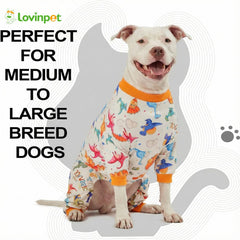 Pijama LovinPet con protección ultravioleta para la exposición al sol, ideal para paseos.