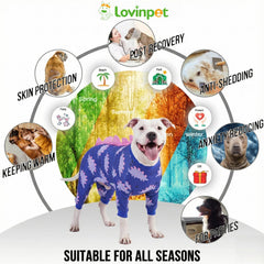 LovinPet pijama con puntas stego, estilo y cobertura para mascotas.