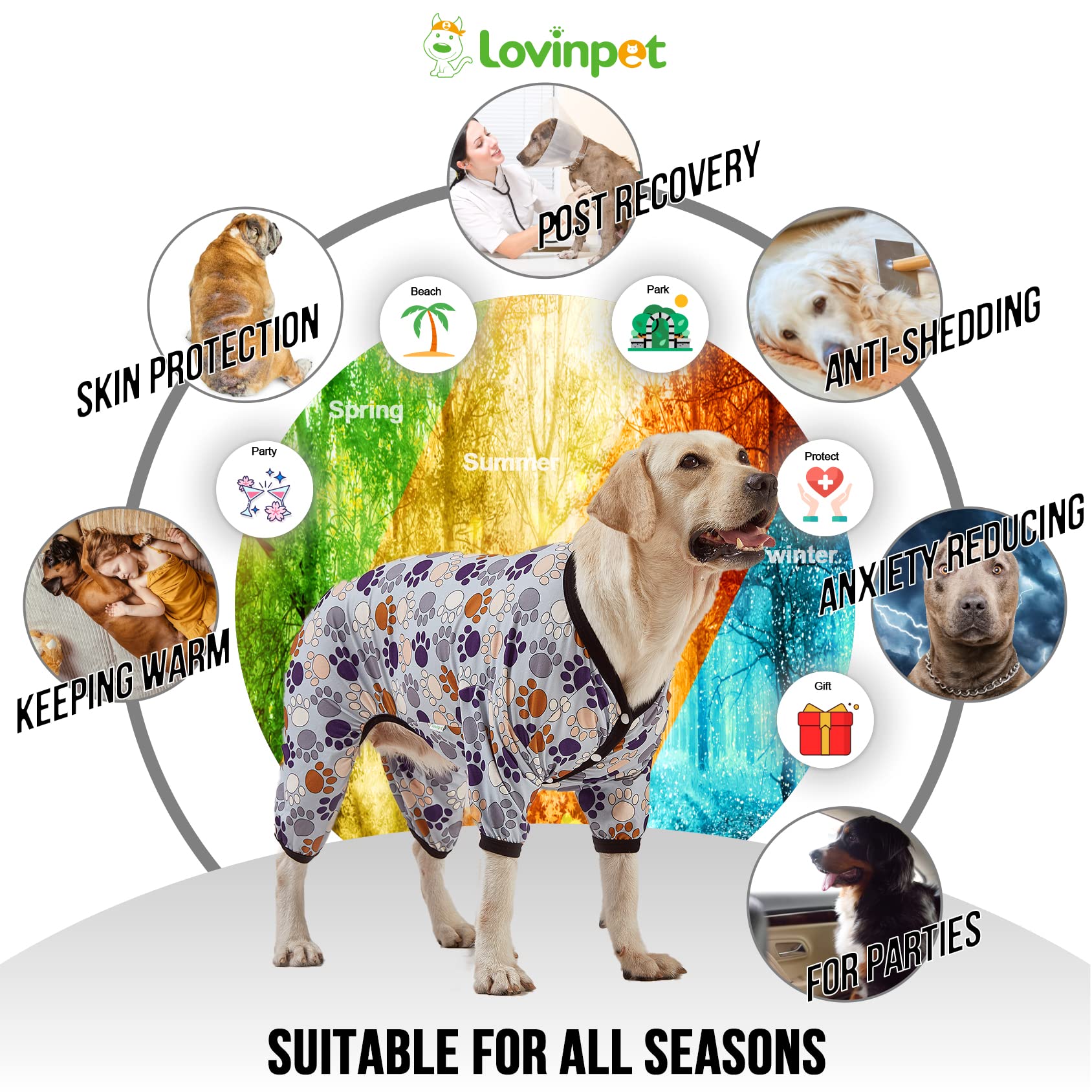 Protección UV en LovinPet para días soleados en paseos.