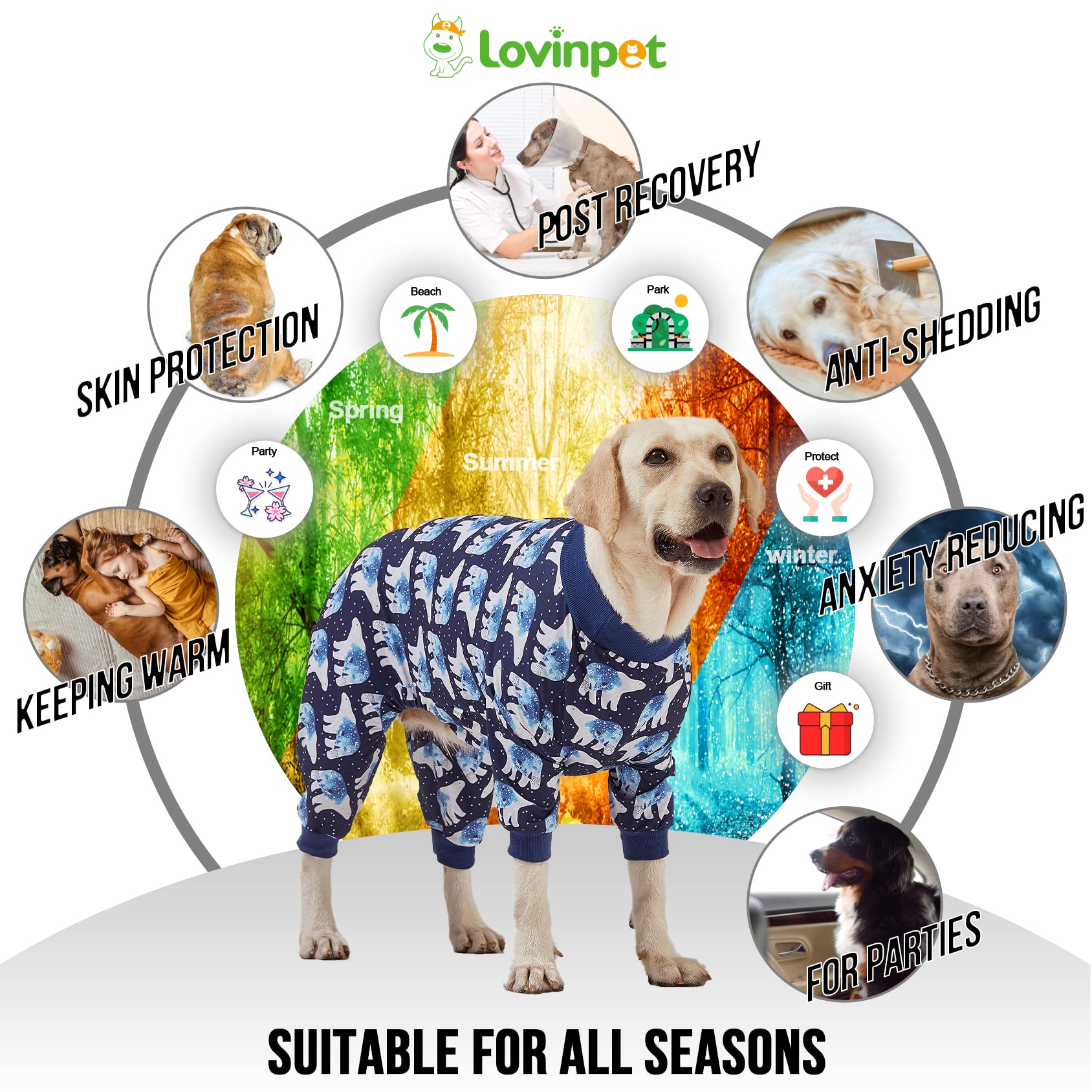 LovinPet pijamas para recuperación postoperatoria en perros grandes