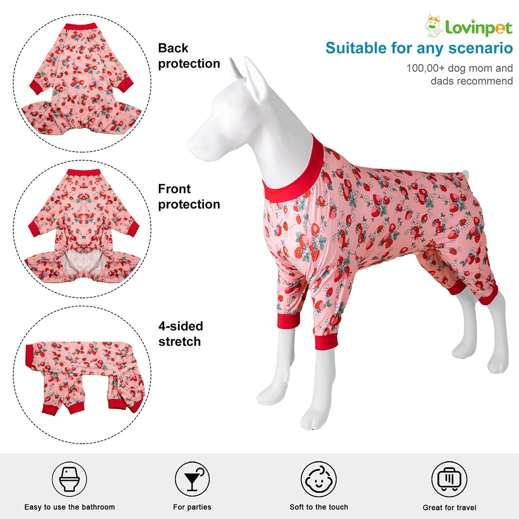 LovinPet pijamas para recuperación sin cono, suave y cómodo para la estancia