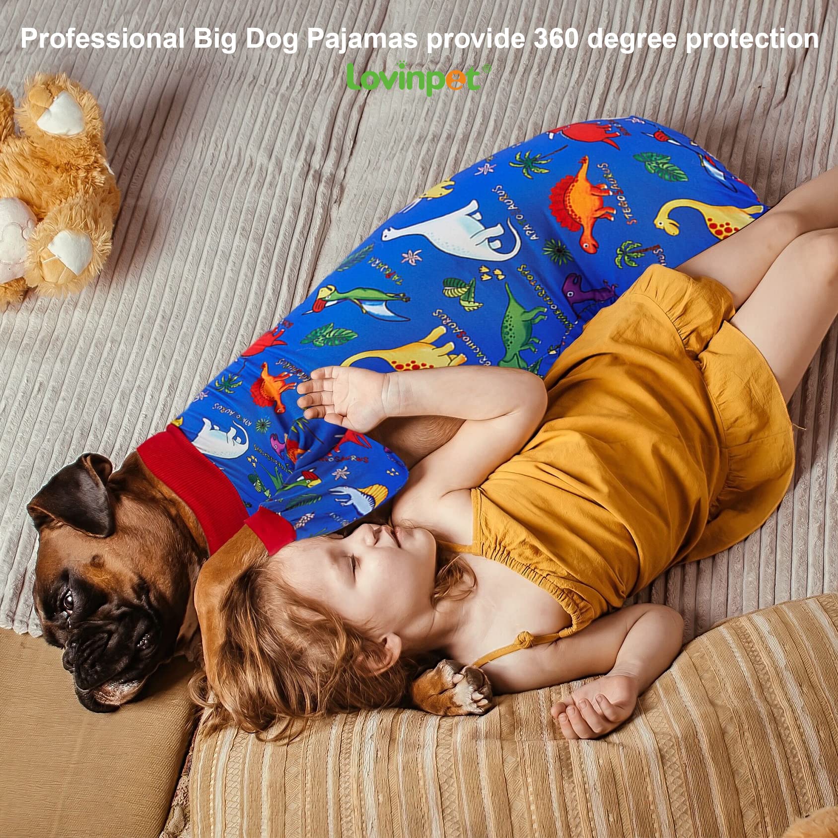 LovinPet Pitbull grande, lavado a máquina frontal: limpieza rápida y sencilla