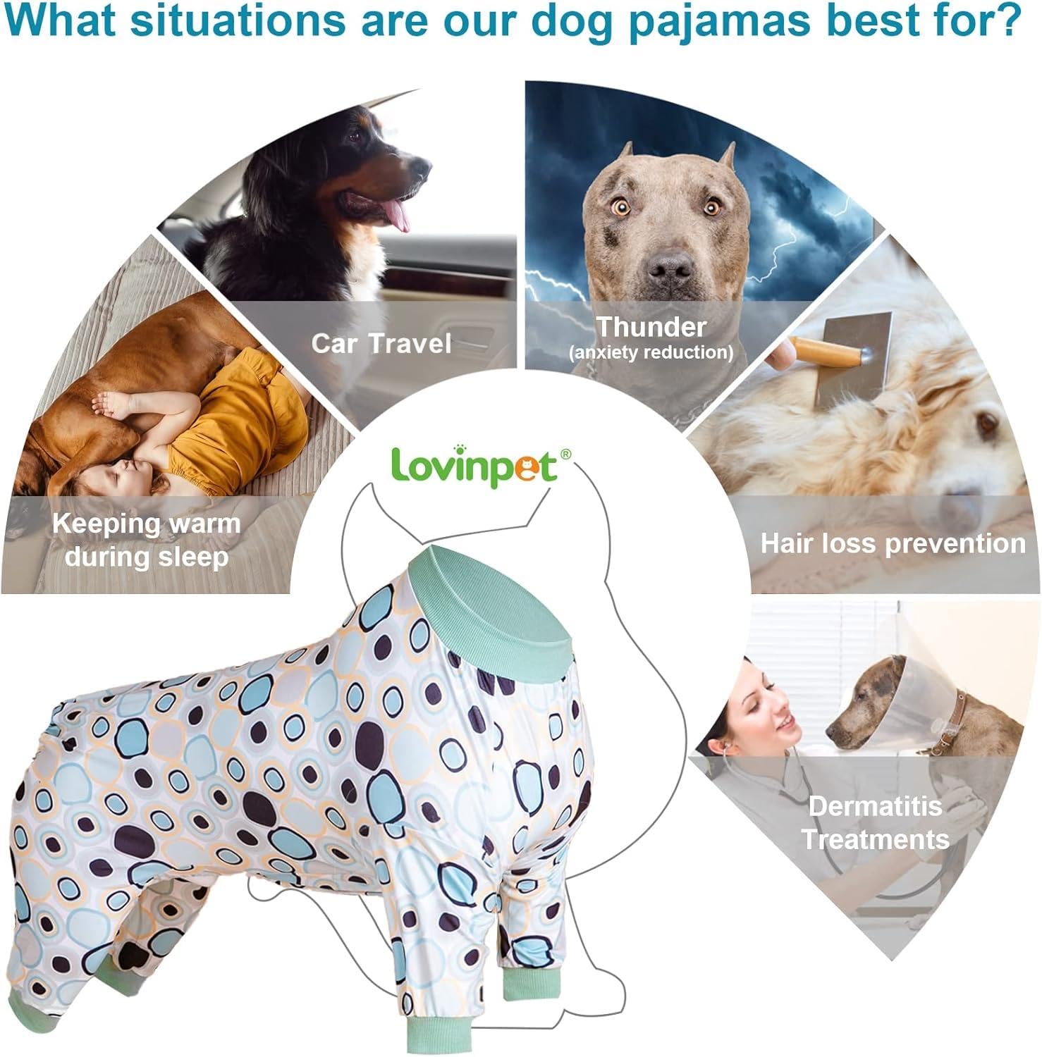 LovinPet Pitbull protección UV para paseos seguros