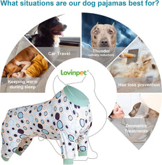 LovinPet Pitbull protección UV para paseos seguros