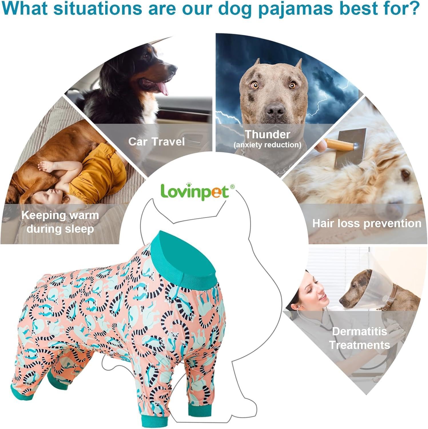 Cuello redondo en LovinPet pjs, diseño cómodo y seguro.