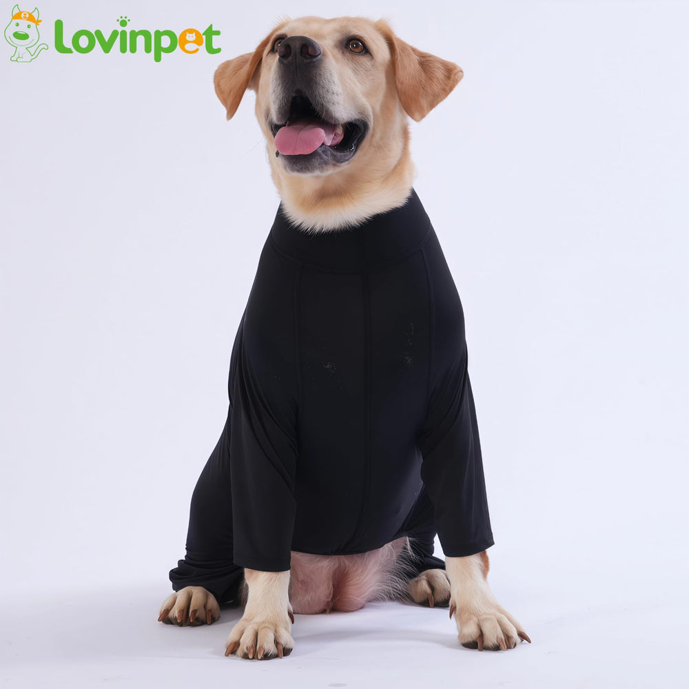 LovinPet protección solar exterior para paseos diurnos y bienestar