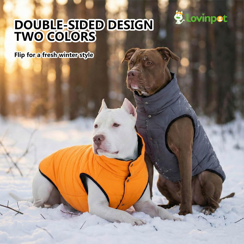 LovinPet reversible, dos lados fáciles de limpiar.