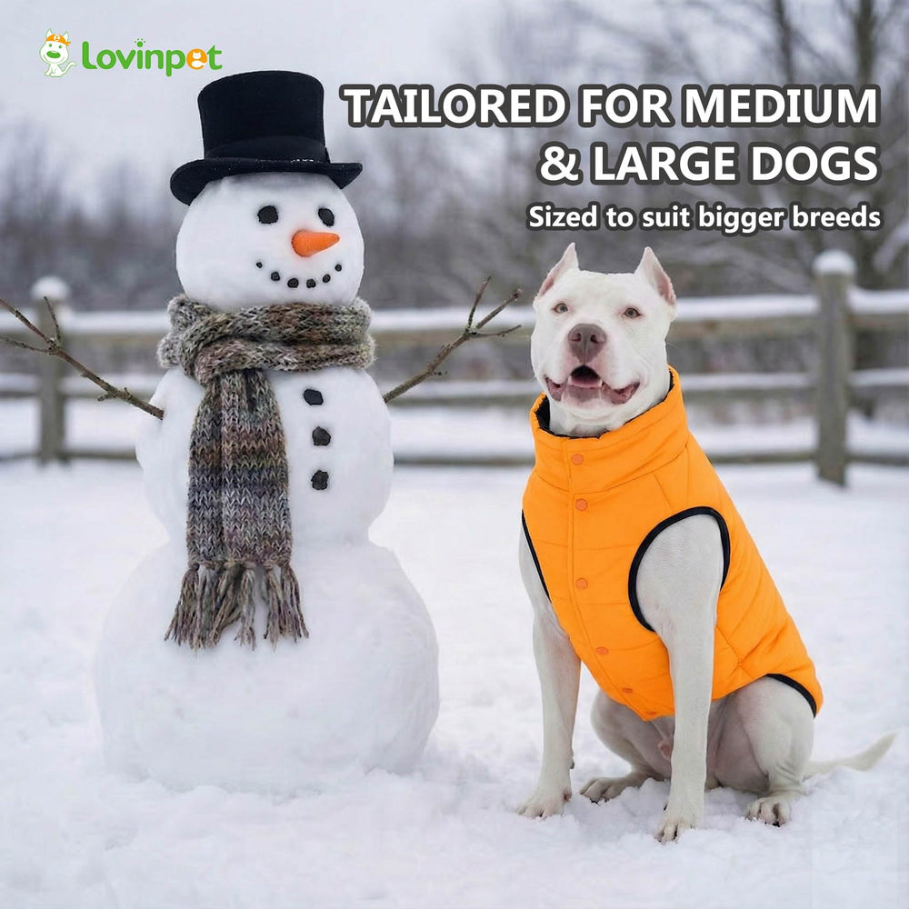 LovinPet tallas disponibles para perros grandes, Labrador y Pastor Alemán.
