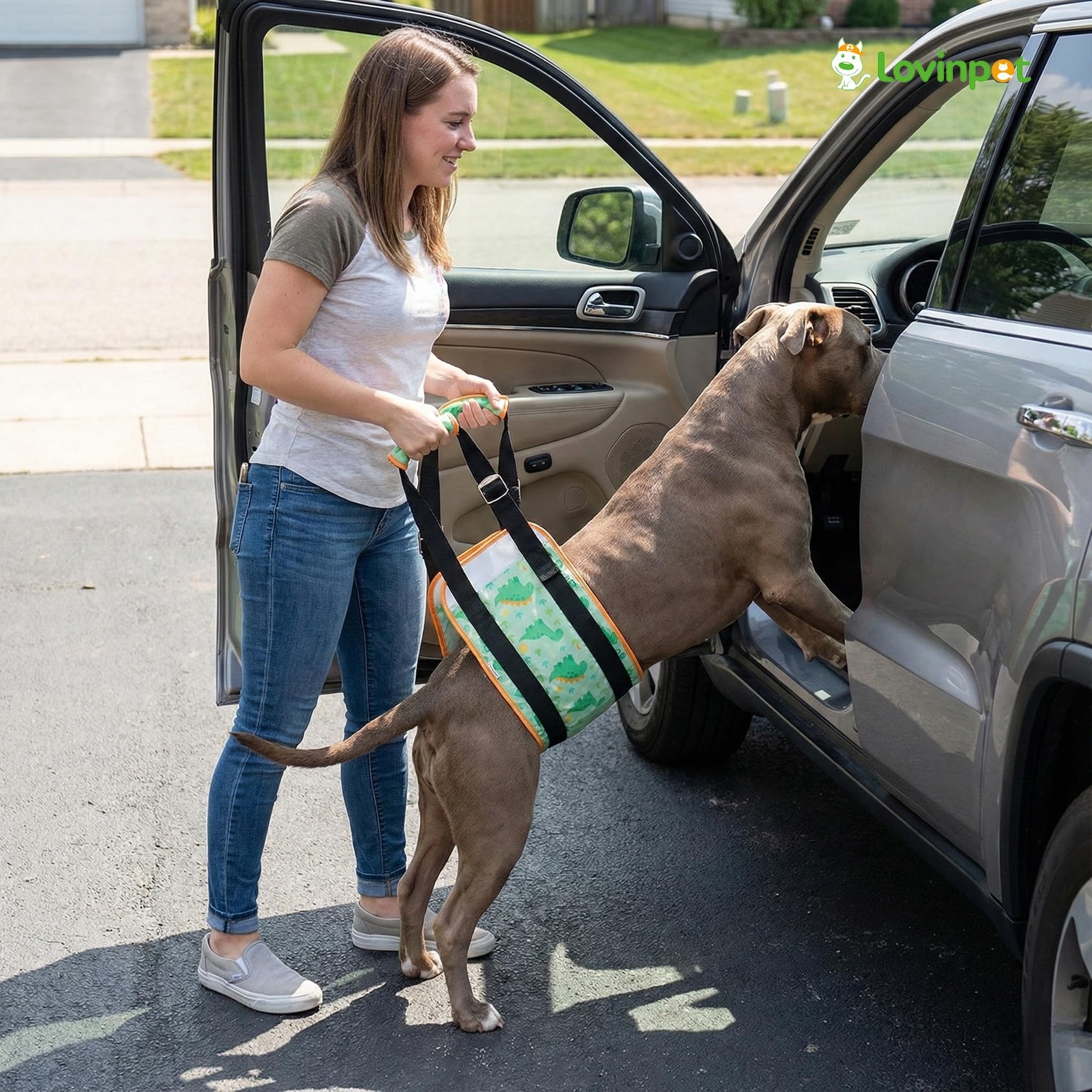 LovinPet arnés para uso diario en perros medianos y grandes, color verde.