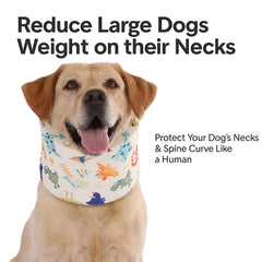 LovinPet collar para uso diario, ligero y cómodo para comer y dormir.