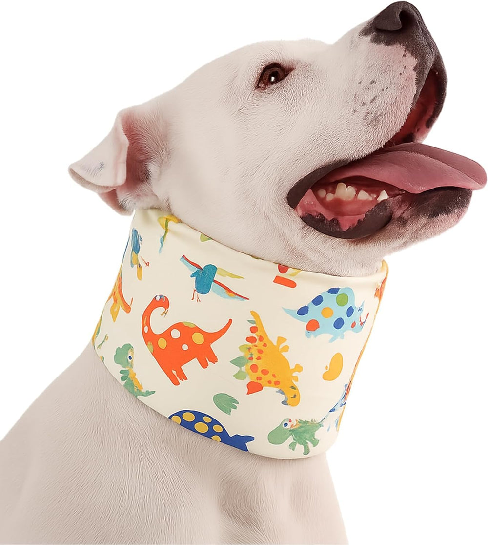 LovinPet collar apto para interior y exterior, uso versátil.