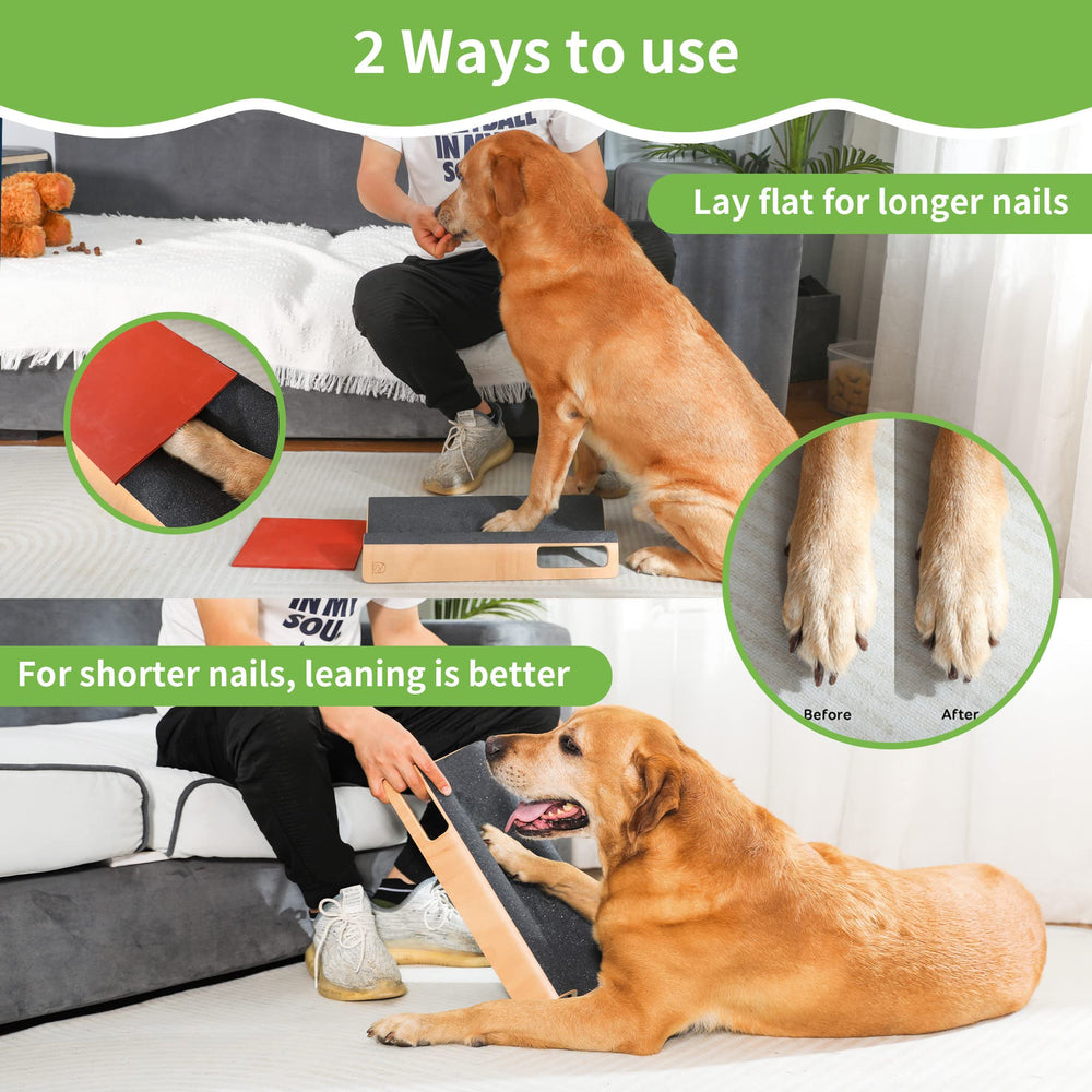 LovIntry medidas-tabla-perro-20-9x9-6 apta para perros de todas las tallas.