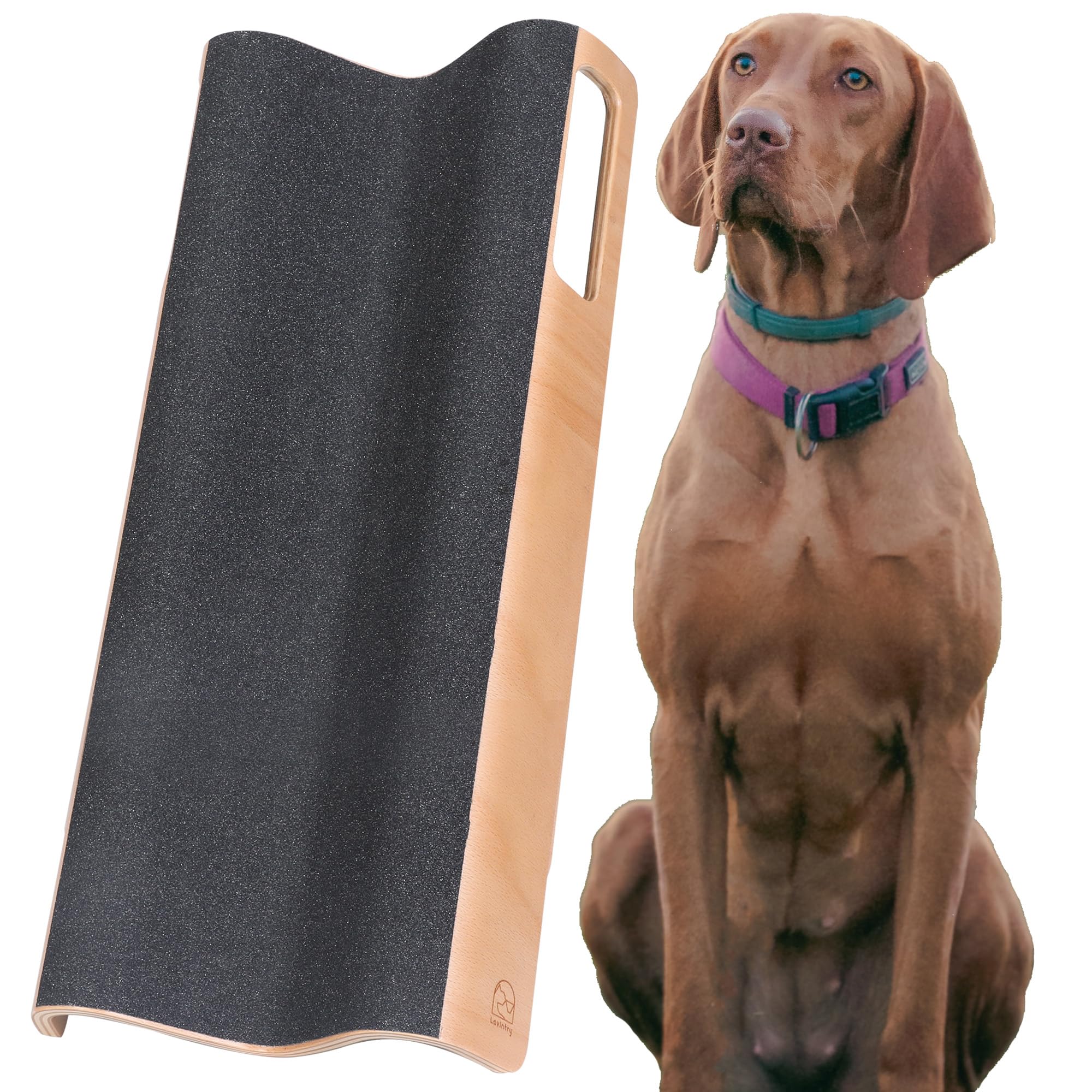 LovIntry tabla-lima-garras-mforma-perro-xl mantiene uñas al nivel correcto.