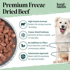 Loyal Saints ingredientes naturales y sin granos, opción limpia para perros