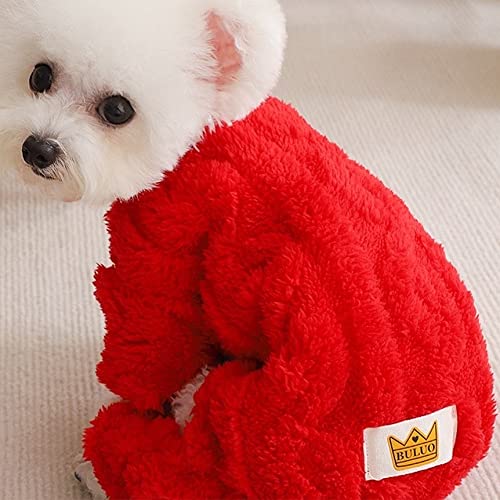 Pijama Loyanyy para perro multi-ocasion, ideal para paseos y fiestas.