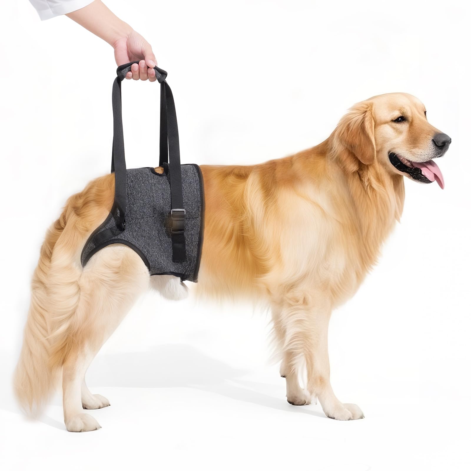 Arnés Lqyom de elevación para perros grandes con apertura para orinar durante paseos.