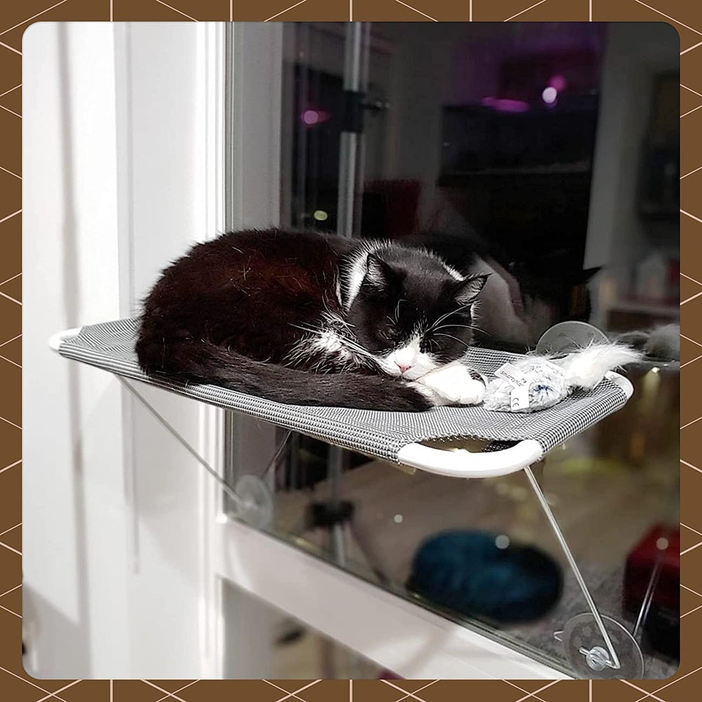 LSAIFATER: permite estirarse y balancearse en la percha de ventana.