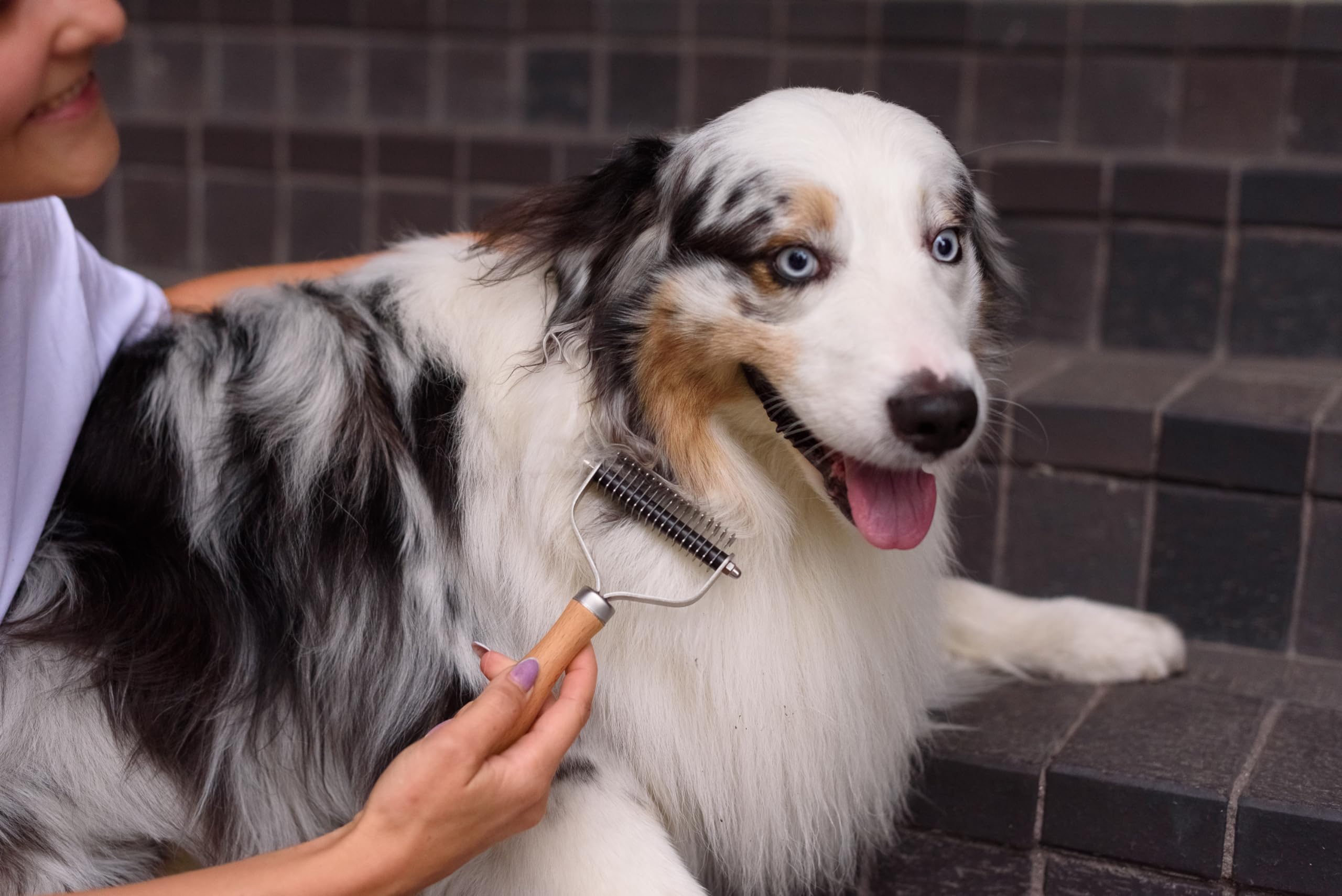 LTANIOLAK herramienta deslanado para desmatar perros y gatos de doble capa.