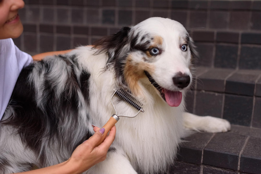 LTANIOLAK herramienta deslanado para desmatar perros y gatos de doble capa.