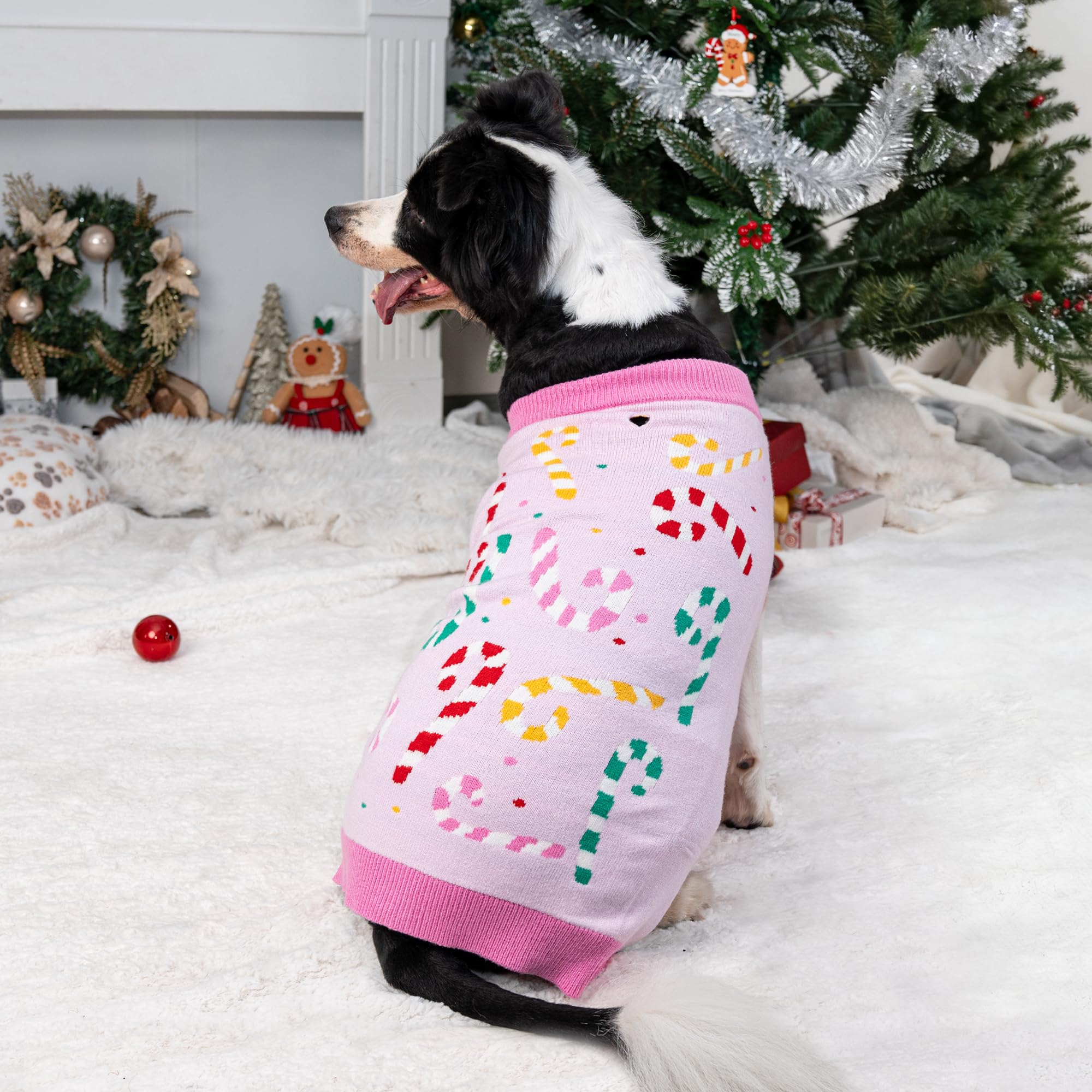 LUBOT suéter cálido para perro, cómodo y flexible para interiores o paseos.