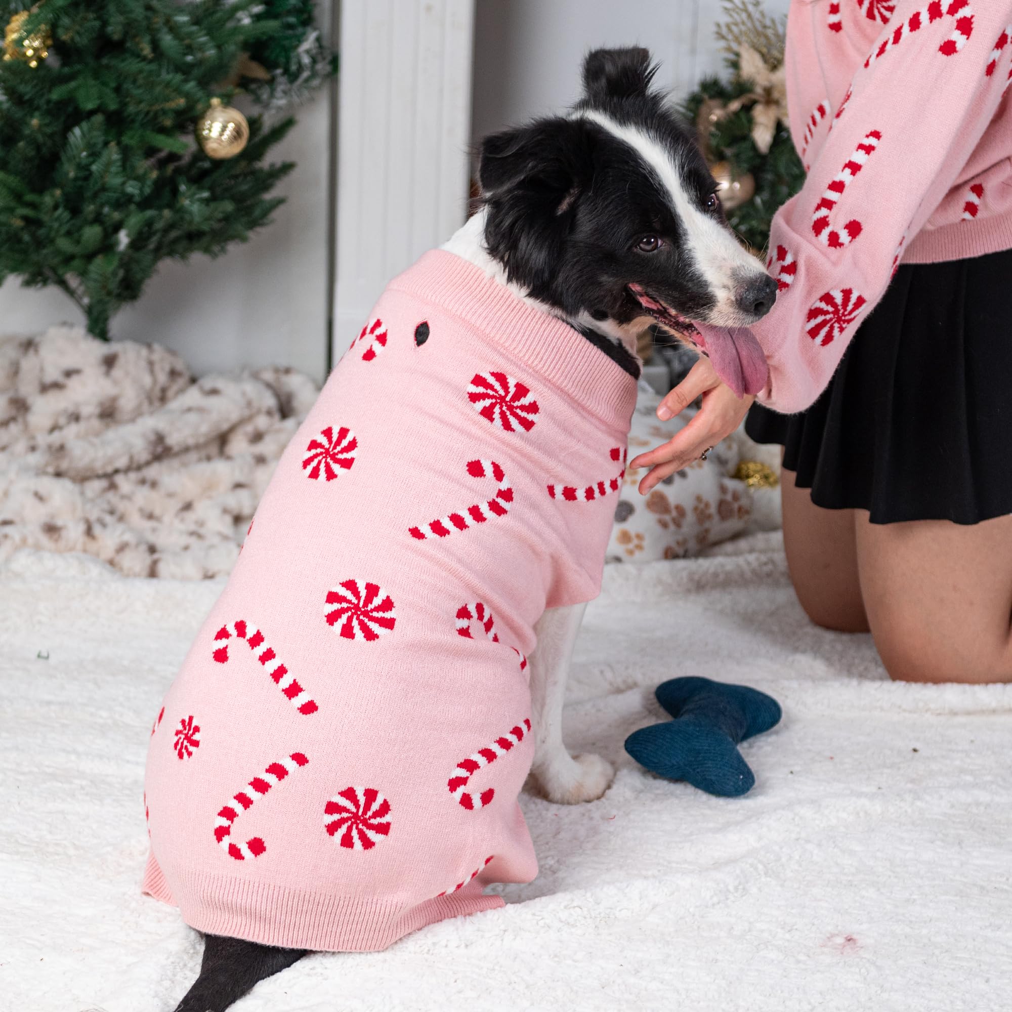 Lubot regalo navideño para cachorro, perfecto para la familia.