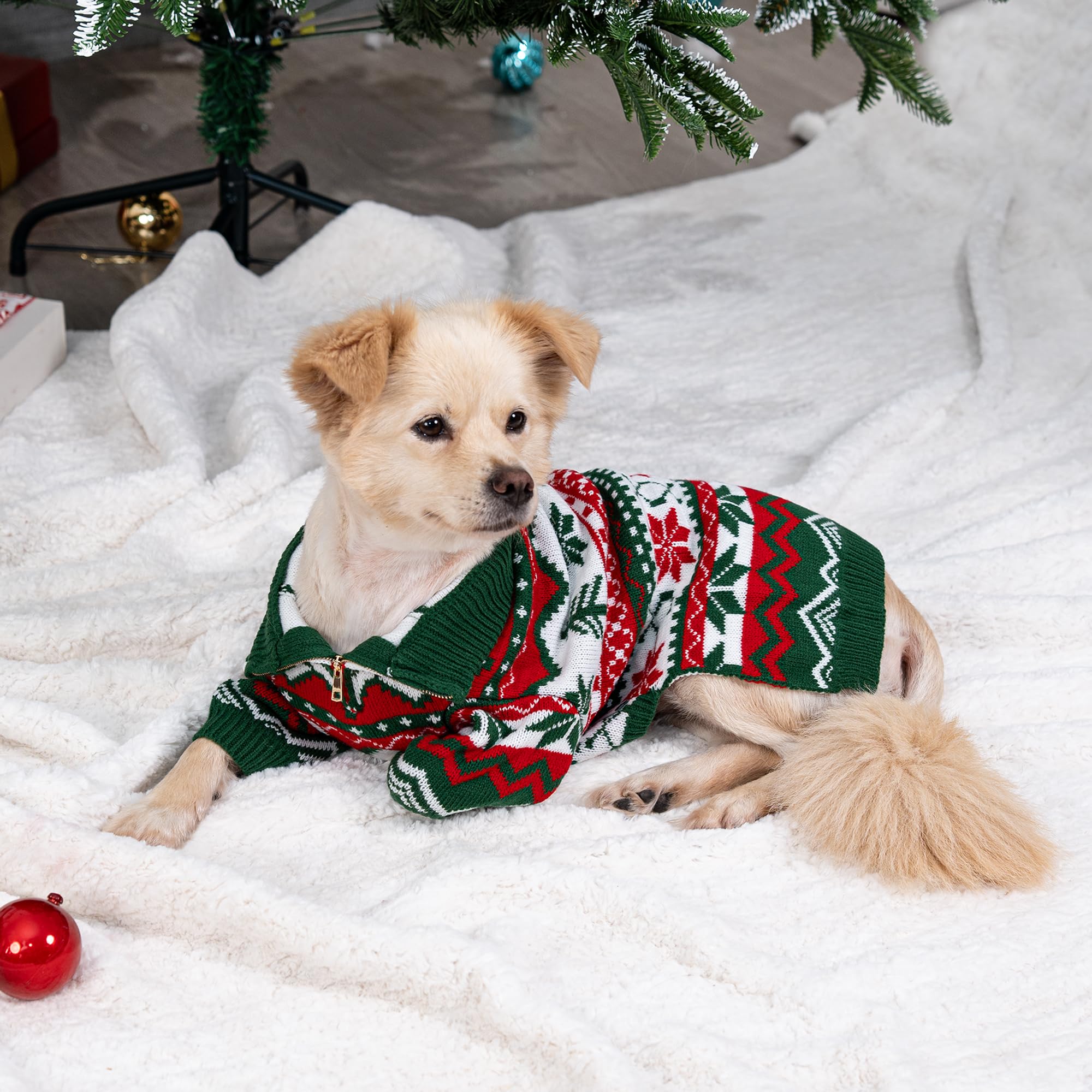 Escena familiar con perro usando LUBOT, perfecta para fotos navideñas y celebraciones.