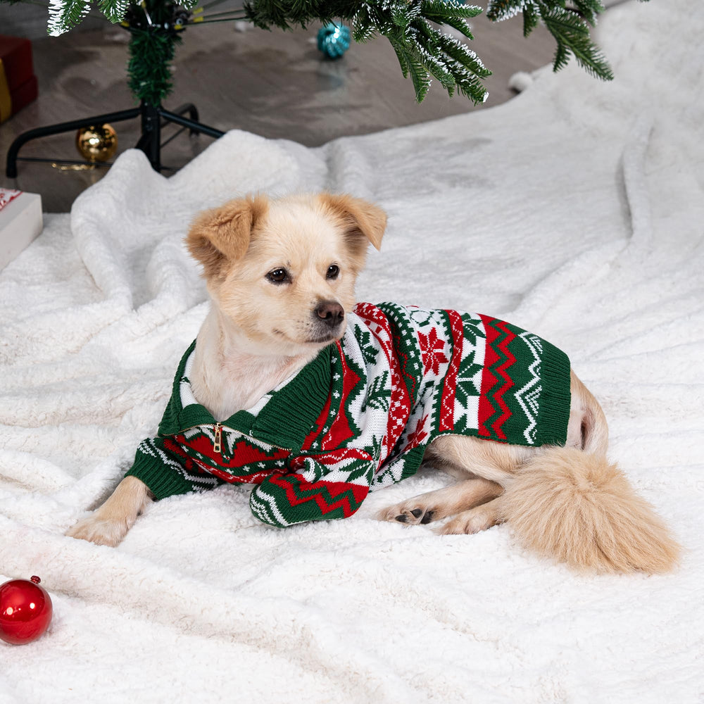 Escena familiar con perro usando LUBOT, perfecta para fotos navideñas y celebraciones.