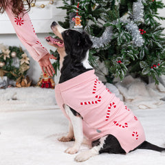 Lubot sudadera para perro en tallas variadas disponibles.