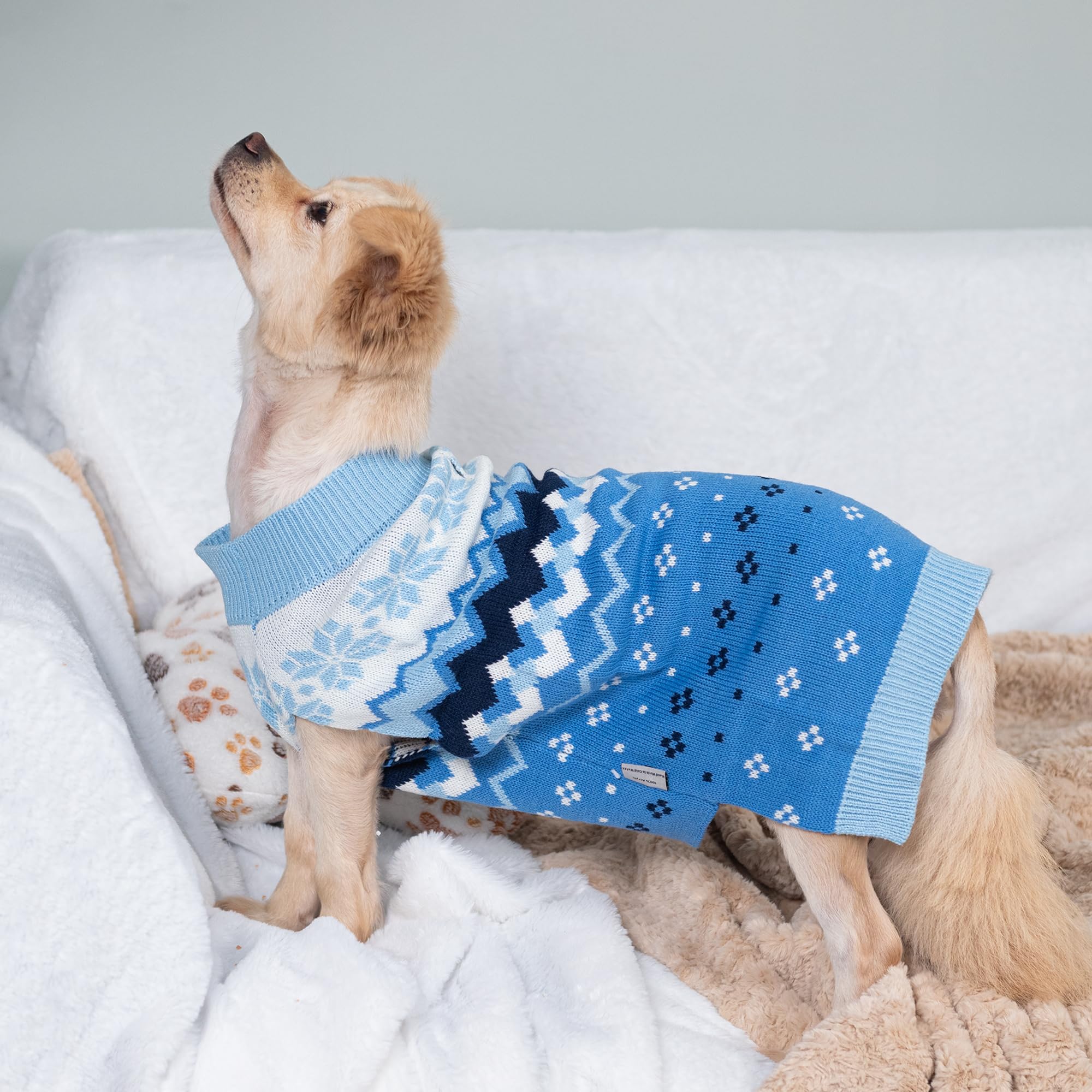 LUBOT suéter-perro regalo navidad, detalle ideal para sorprender.