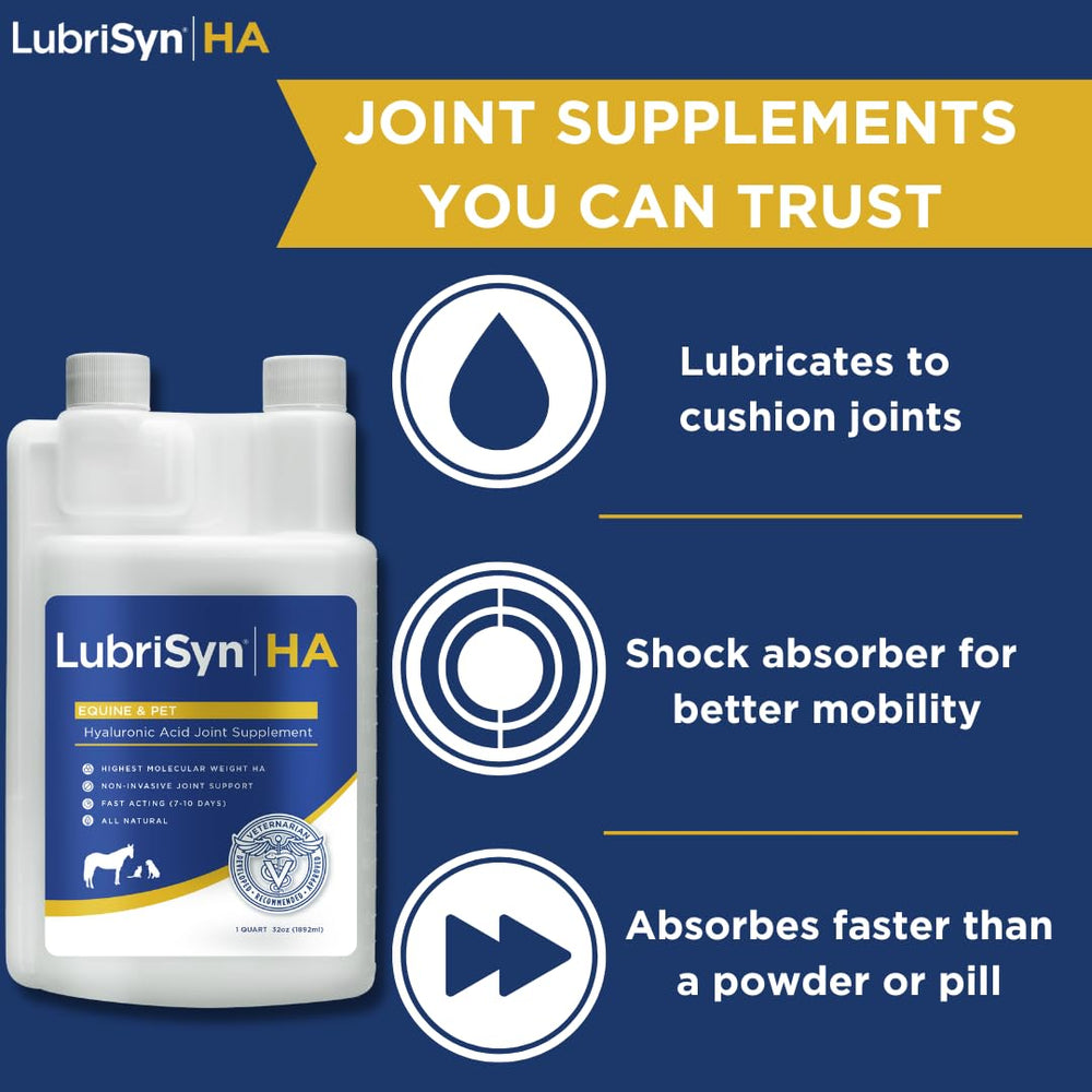 Perro con movimiento más fluido gracias a LubriSynHA para articulaciones.