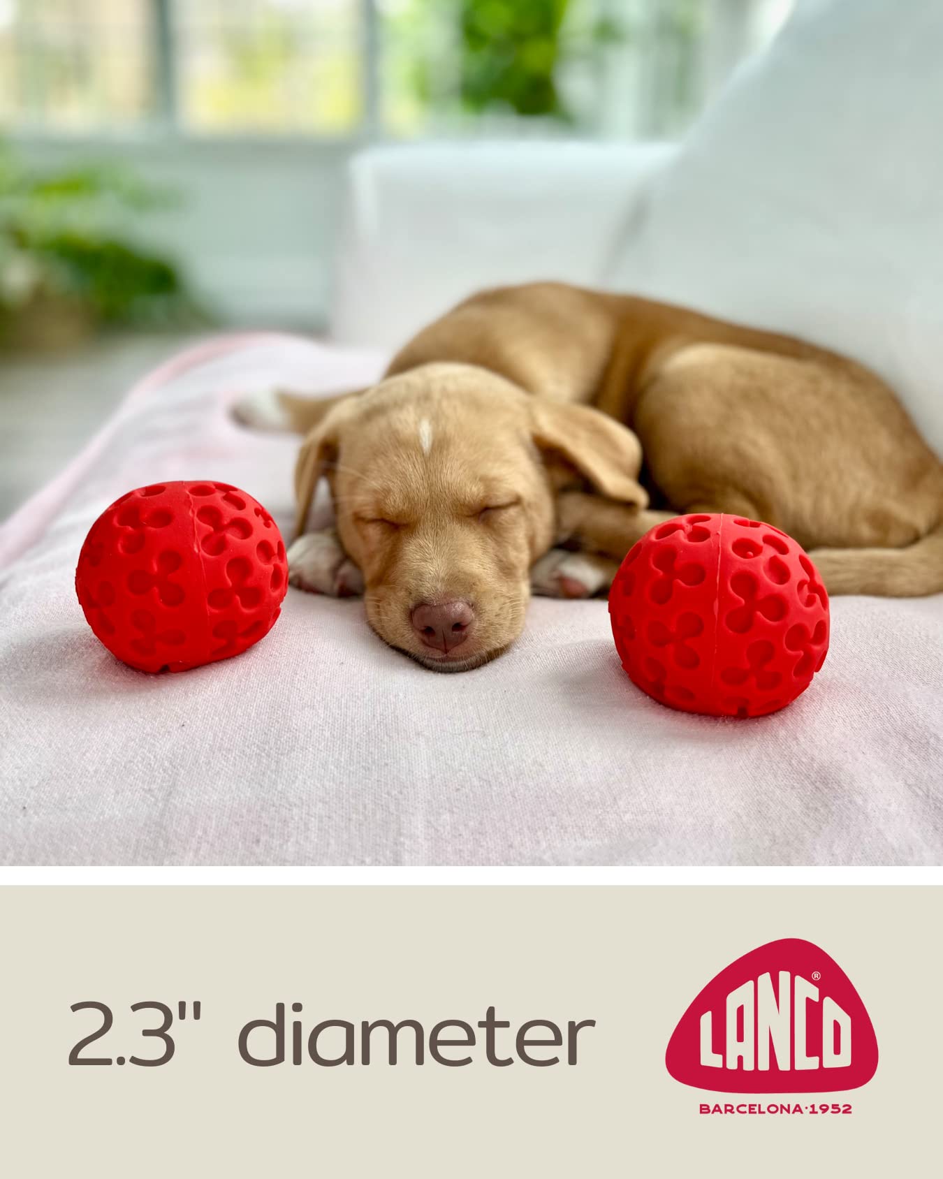 Fácil de limpiar y mantener higiénico, Lucas b Natural Dog Toys.