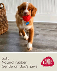 Pelota rosada con sonajero de Lucas b Natural Dog Toys para cachorros.
