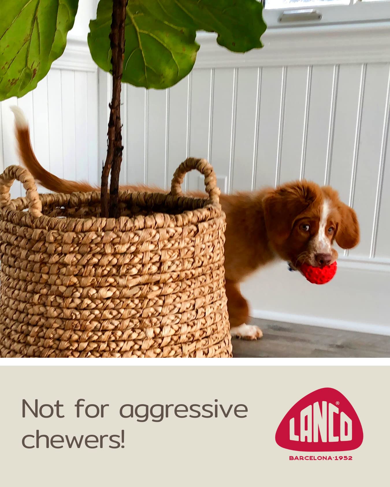 Diseño compacto de Lucas b Natural Dog Toys para perros pequeños.