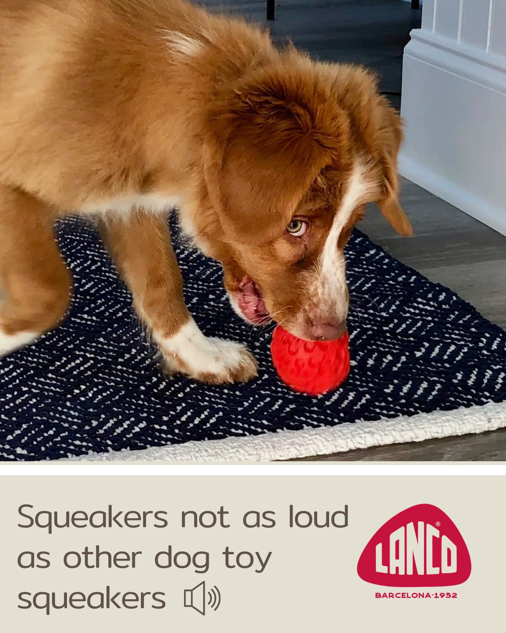 Uso interior y exterior con Lucas b Natural Dog Toys, colores brillantes.