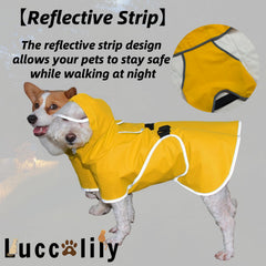 Luccalily proteccion de vientre en diseno para perros pequeños.