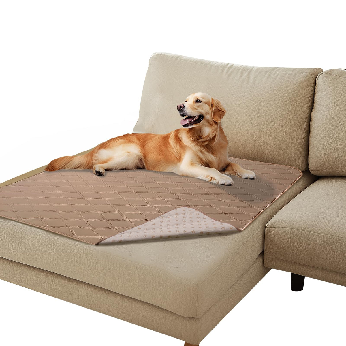 Luciphia Manta impermeable para sofá, protege contra accidentes y mugre de mascotas.