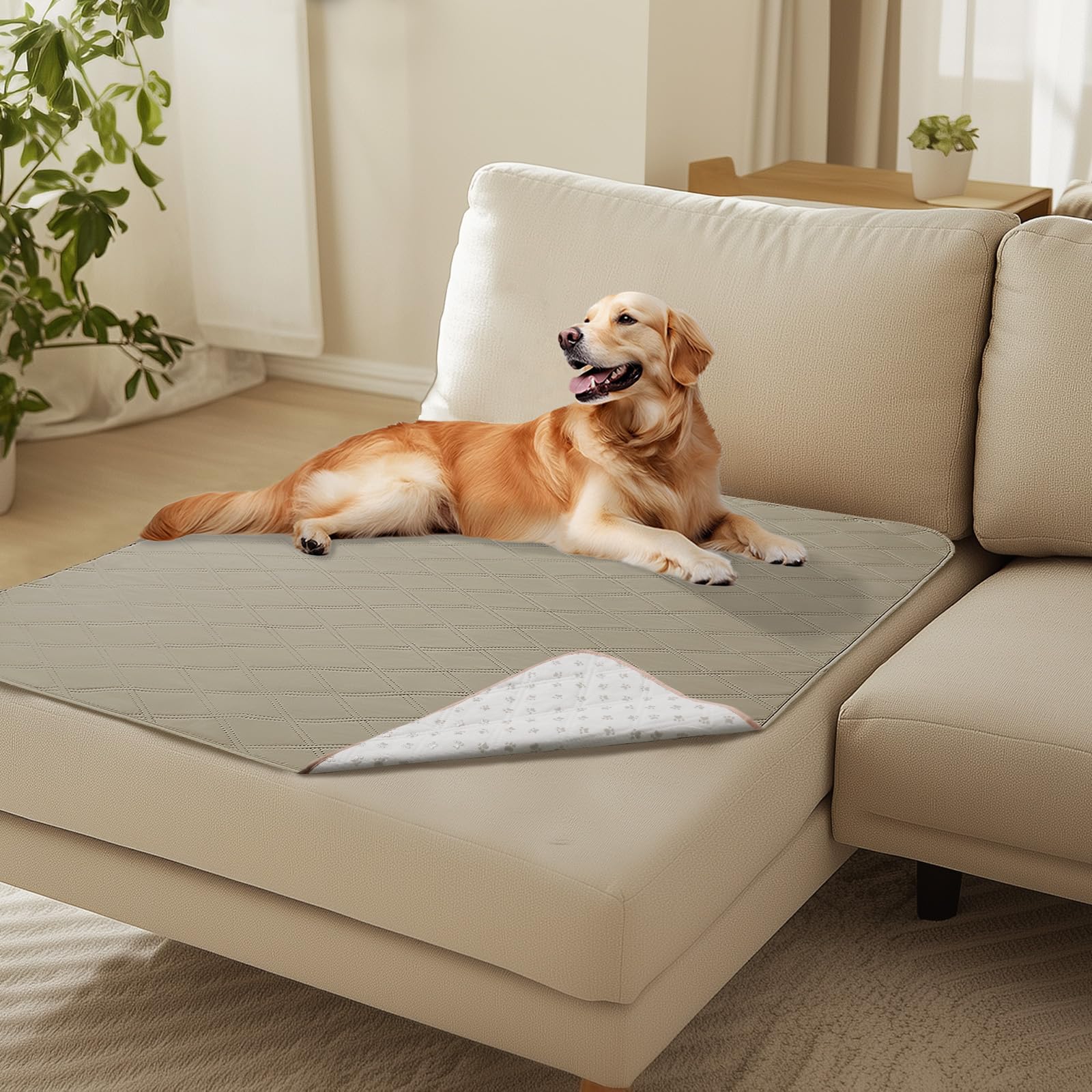 Luciphia cobertor-sofa-impermeable protege el sofá ante derrames y manchas.