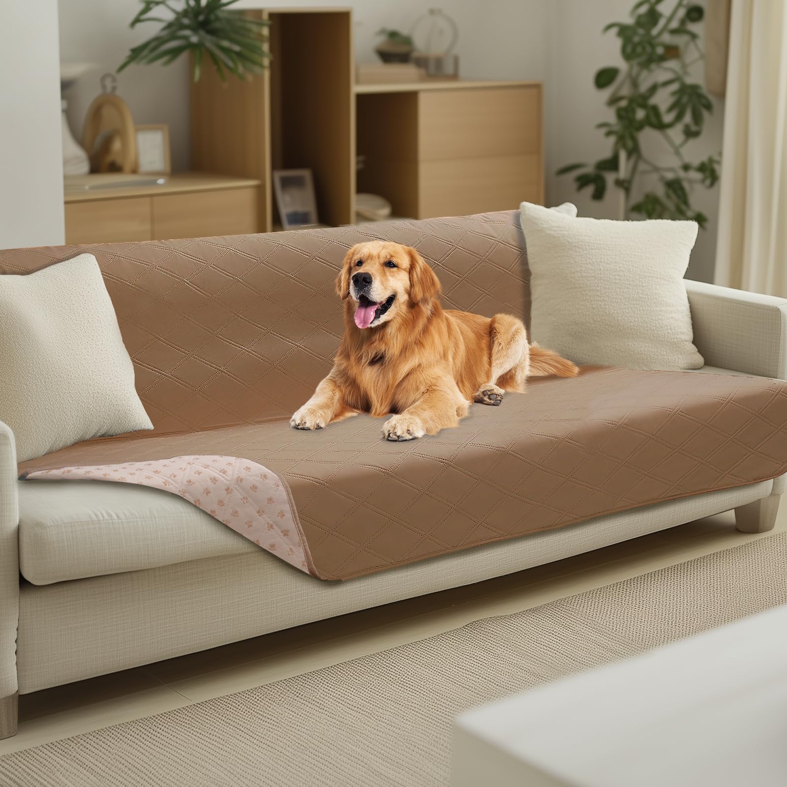 Funda impermeable Luciphia para sofá de perros protege muebles ante accidentes.