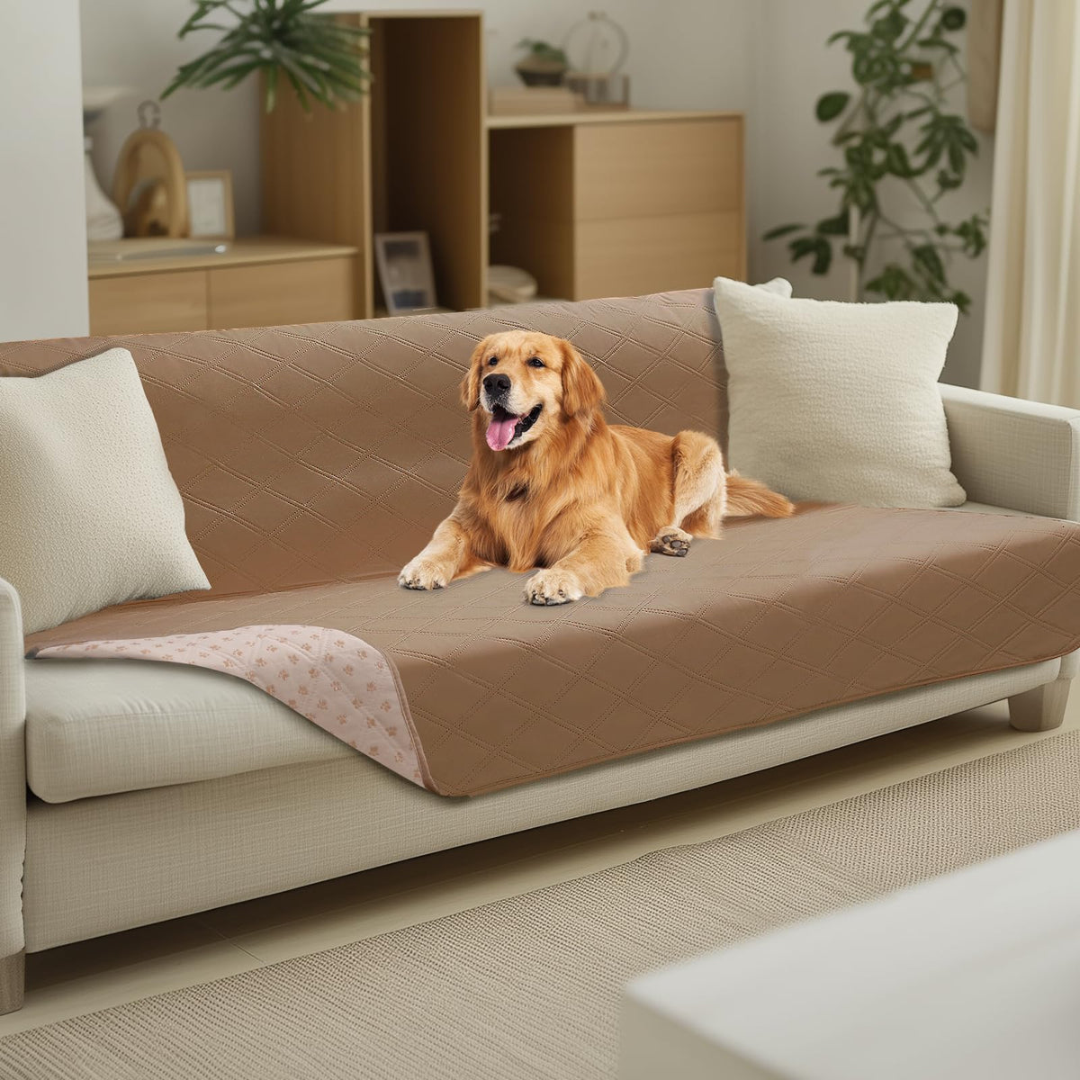Funda impermeable Luciphia para sofá de perros protege muebles ante accidentes.