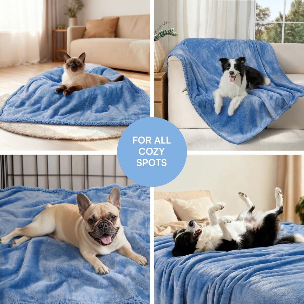 Tamaño XL de la manta Luciphia para perros grandes.