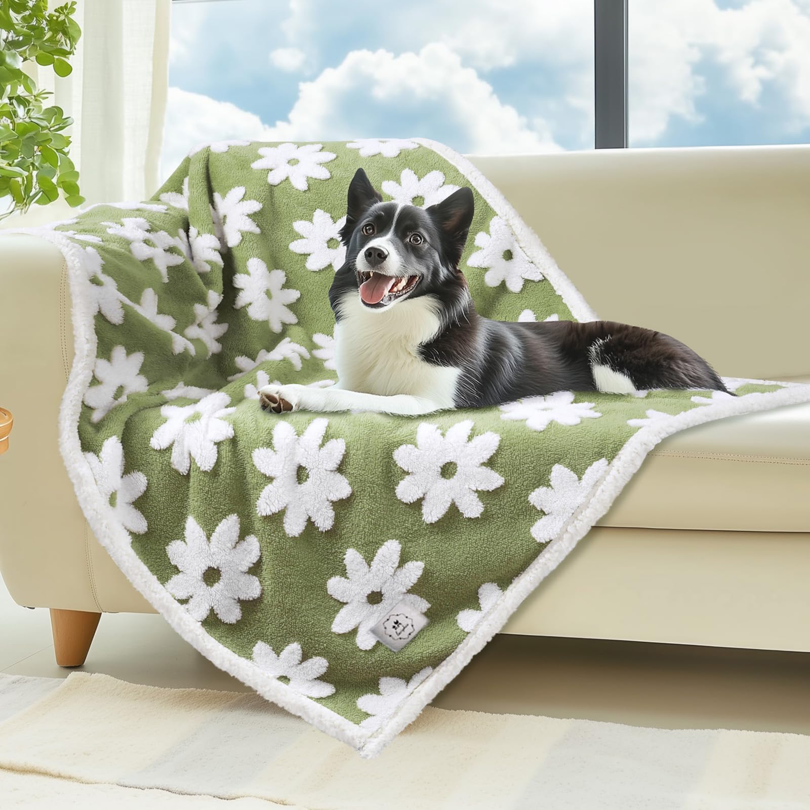 Luciphia manta impermeable para perros medianos y grandes protege muebles.